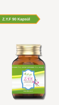 Zerdeçal Ekstresi, Zencefil Ekstresi, Biberiye Ekstresi, Çörekotu, Fundaotu 